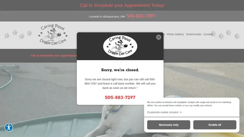 Caring Paws Doggie Day Care preview