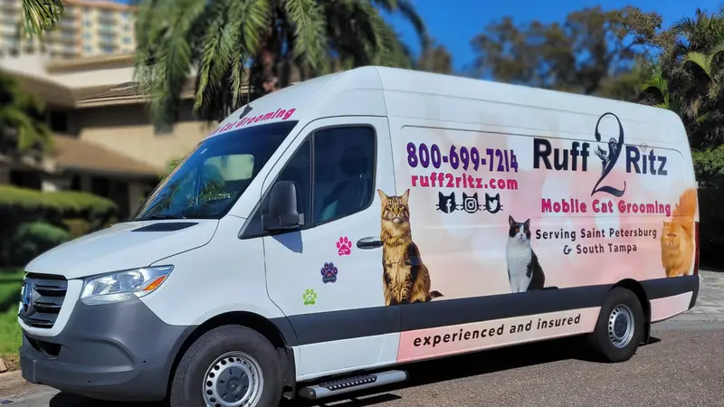 Ruff 2 Ritz Grooming preview