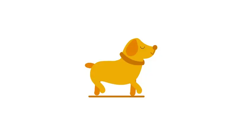 Lakeside Paws Veterinary Clinic preview