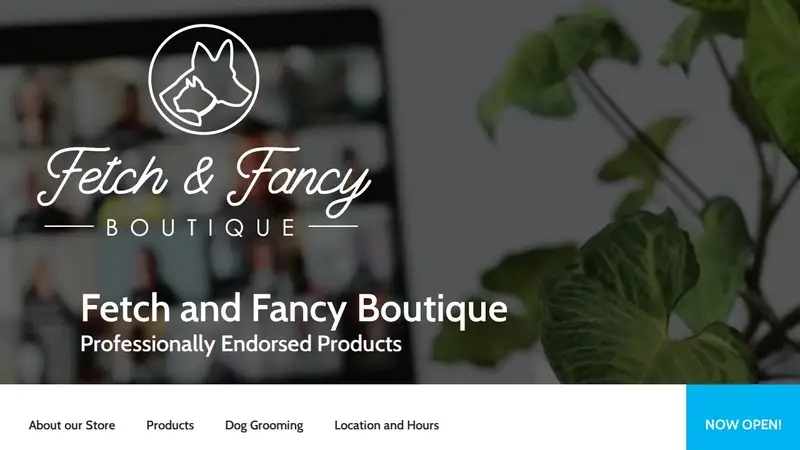 Fetch and Fancy Boutique preview