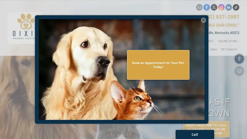 Dixie Animal Hospital preview