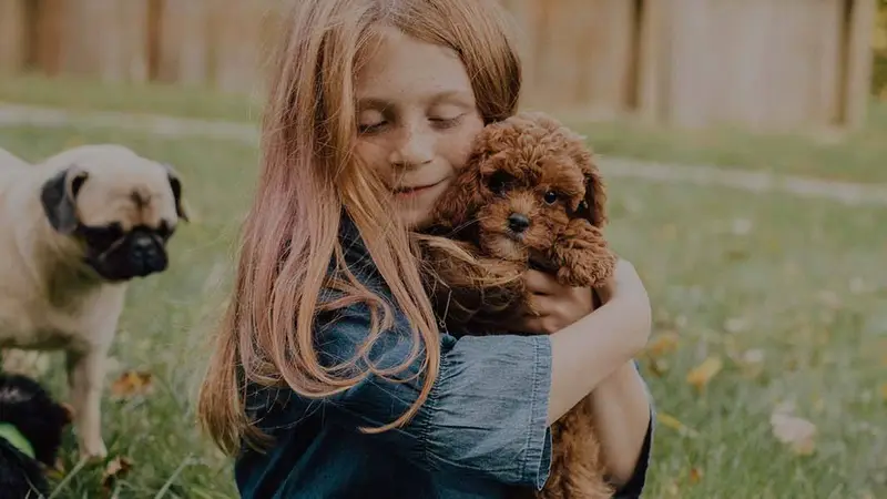 Georgia Puppies Online preview