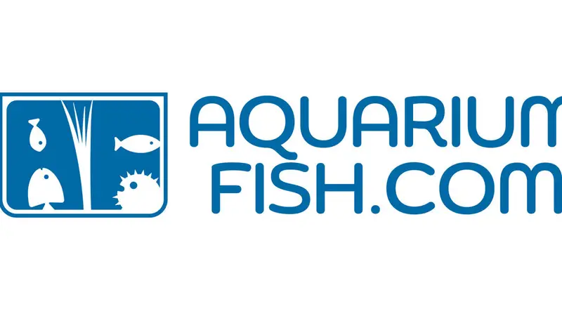 aquariumfish.com preview