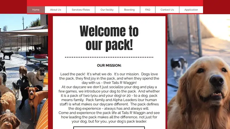 Tails R Waggin Doggy Day Care preview