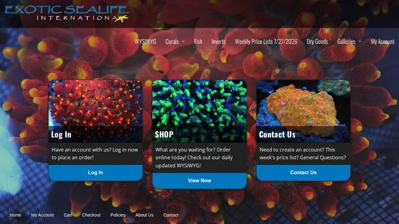 Exotic Sealife International preview