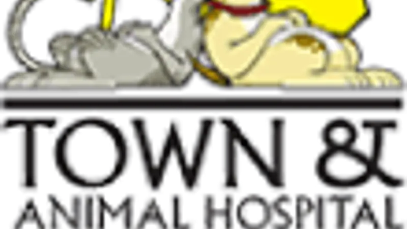 Town and Country Animal Hospital preview