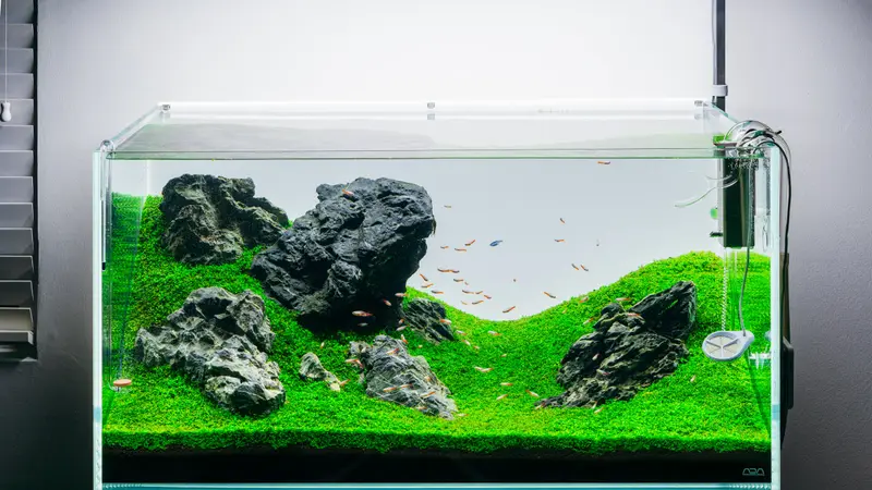Glass Aqua preview