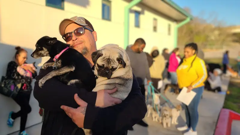 Spay Neuter Network preview
