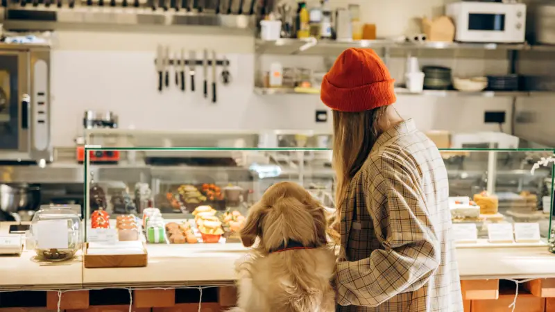 top dog barkery preview