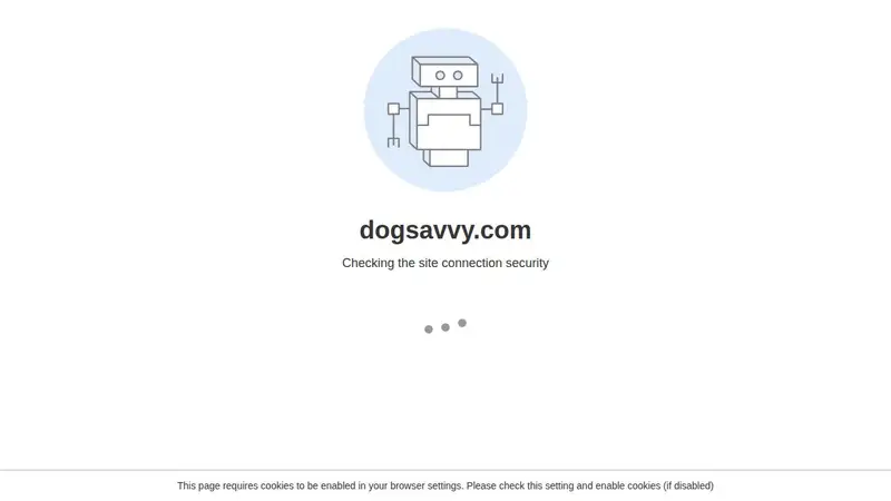 Doggie Boutique And Spa preview