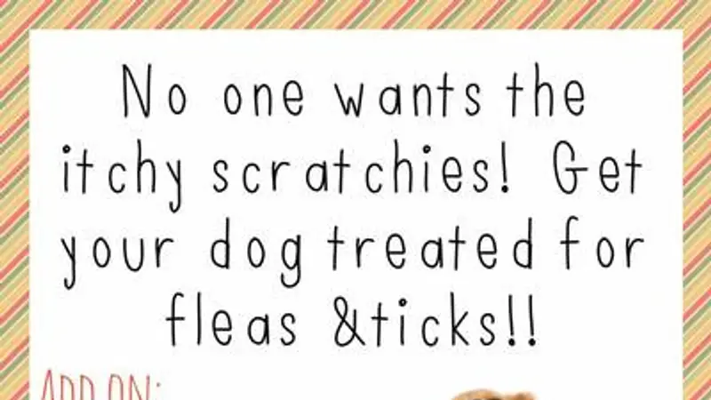 Barking Beauties preview