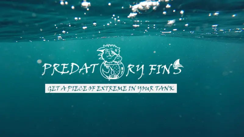Predatory Fins preview