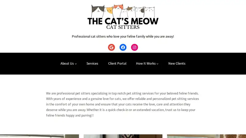 The Cat's Meow Cat Sitters, LLC preview