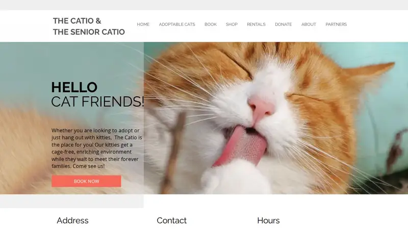 The Catio Cat Lounge preview