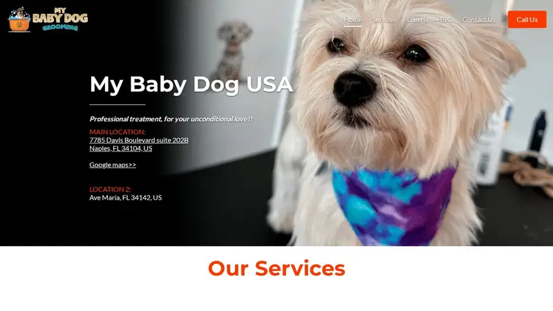 Grooming My Baby Dog Swfl preview