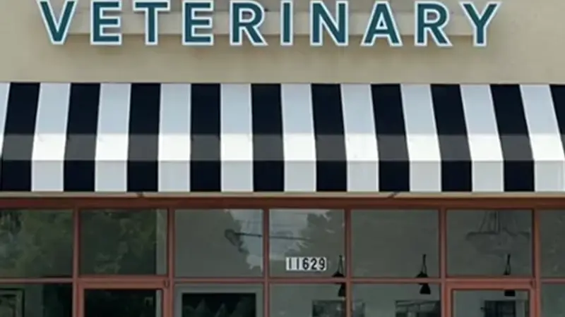 COTA Veterinary preview