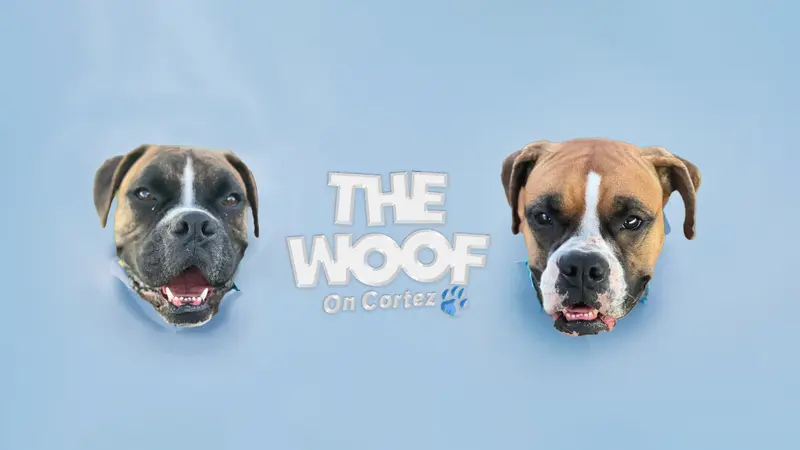 The Woof on Cortez preview