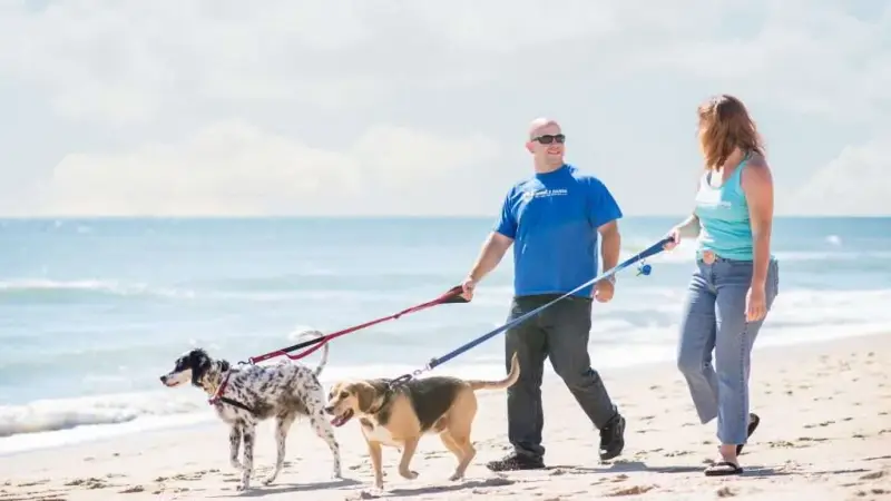 Stable Hands Pet Care and Services preview
