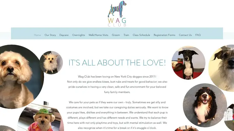 Wag Club preview