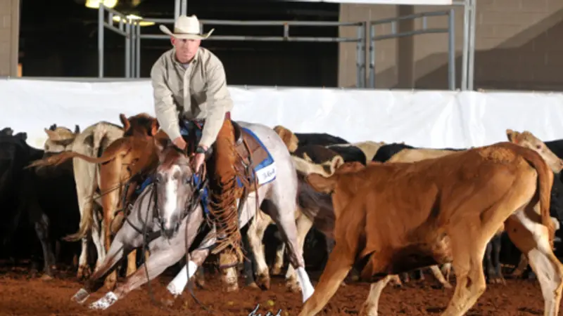 Gillespie Performance Horses LLC preview