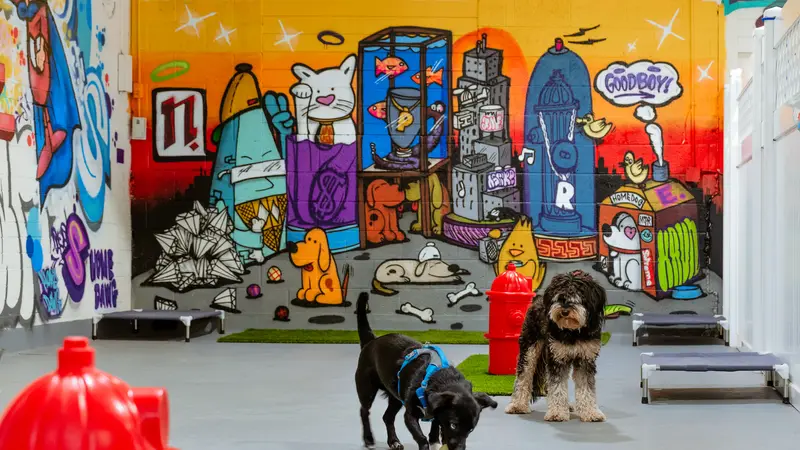 HomeDog preview
