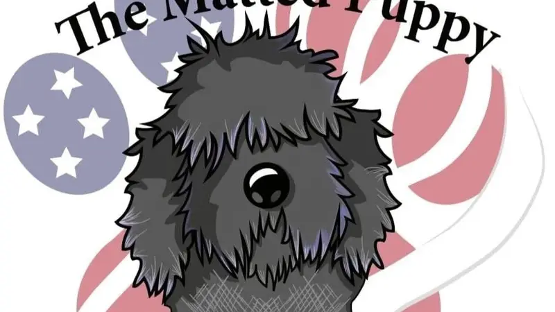 The Matted Puppy Grooming preview