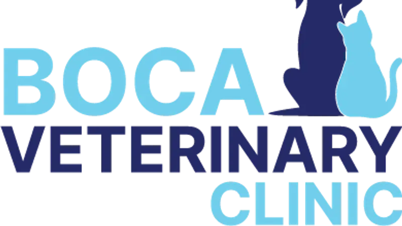 Boca Veterinary Clinic preview