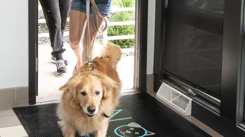 Nora Veterinary Hospital preview