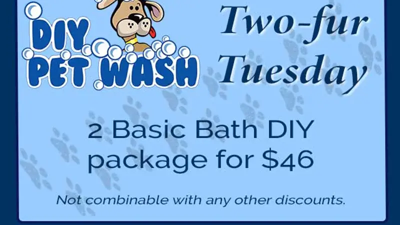 DIY Pet Wash Tucson preview