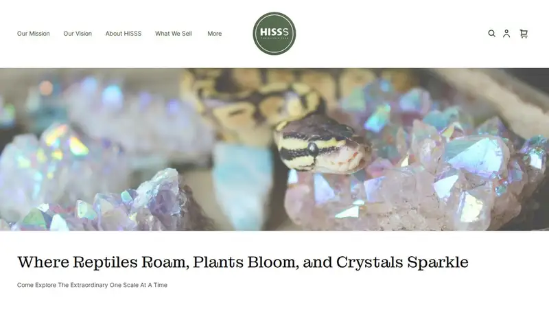 HISSS preview