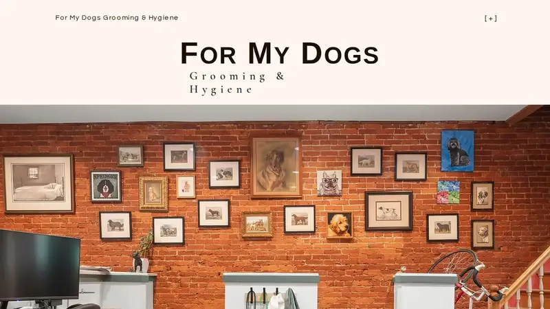 For My Dogs Grooming & Hygiene preview