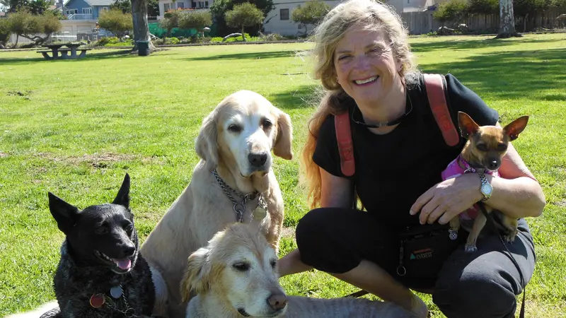 Tech Pet Care preview
