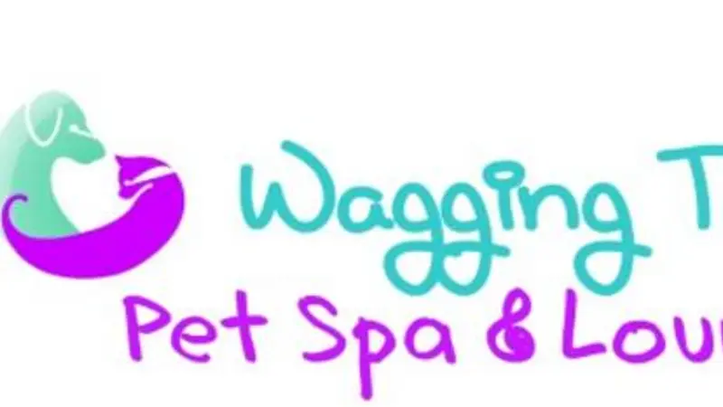 Wagging Tailz Pet Spa & Lounge preview