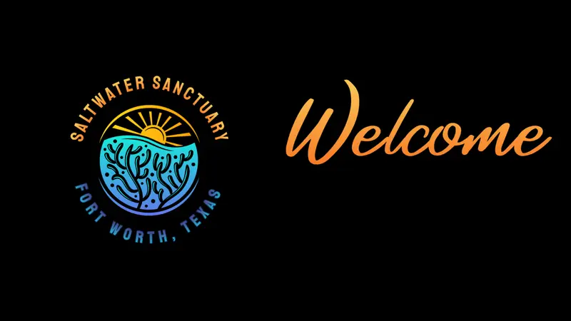 Saltwater Sanctuary LLC preview