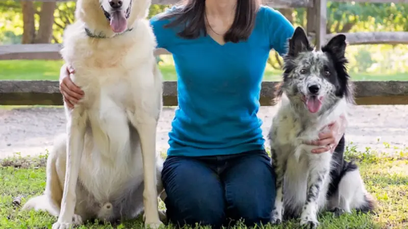 Always Pawsitive Dog Training preview