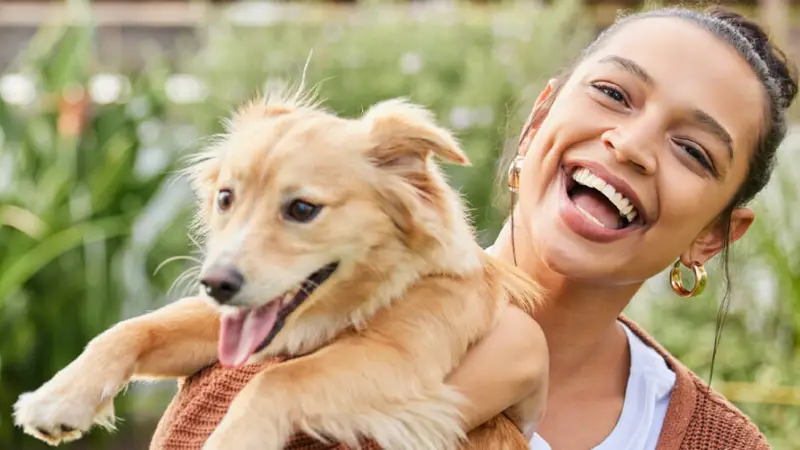 Pima North Animal Hospital preview