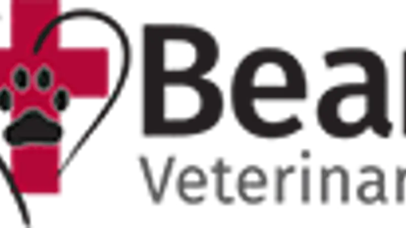 Bear Valley Veterinary Care Center preview