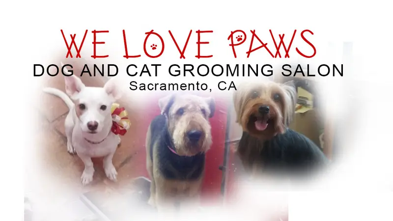 We Love Paws Pet Grooming Salon preview