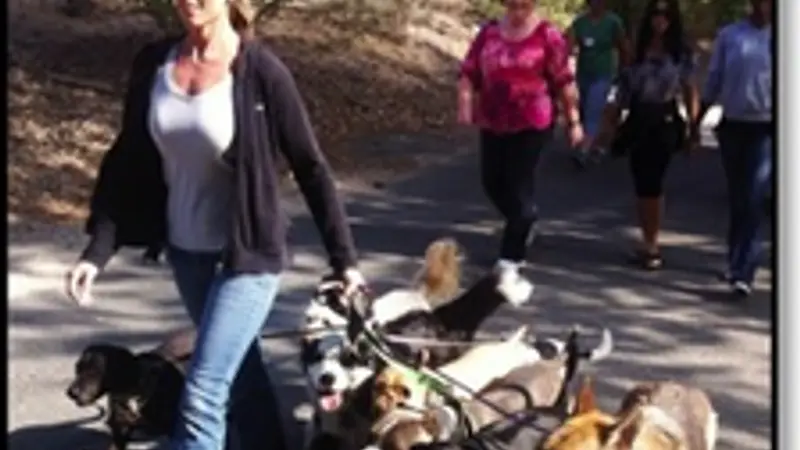 Dallas DogWorks preview