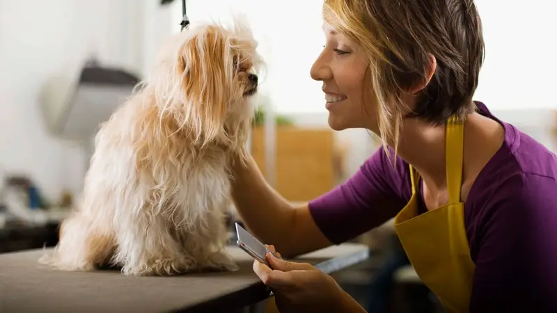 Spoiled Petz Grooming Salons preview