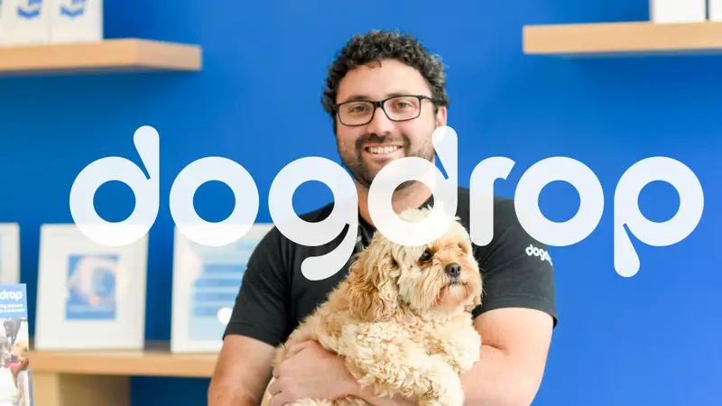 Dogdrop Dog Daycare Anaheim preview