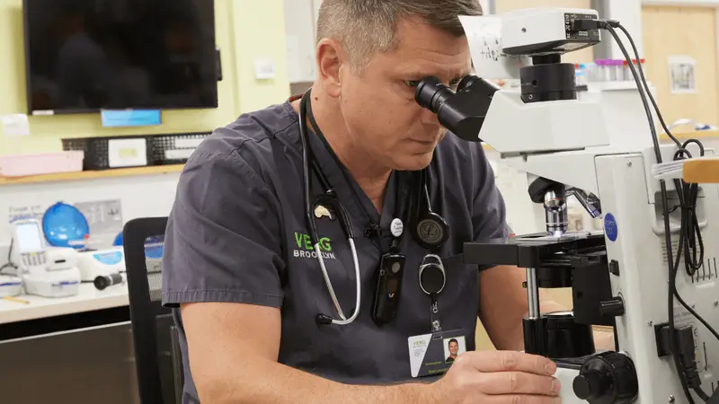 Veterinary Emergency & Referral Group preview