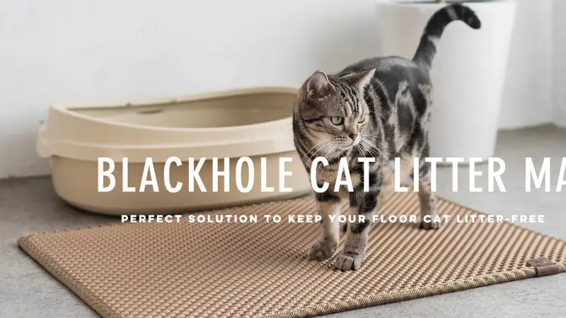 Moonshuttle Usa - Blackhole Litter Mat preview
