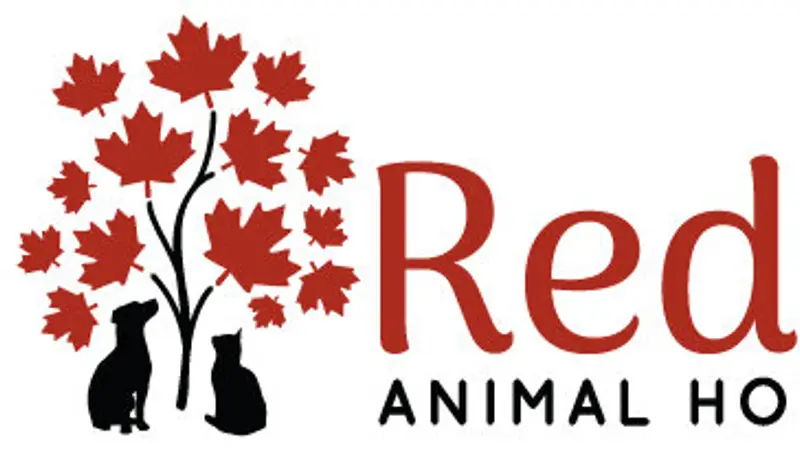 Red Maple Animal Hospital preview