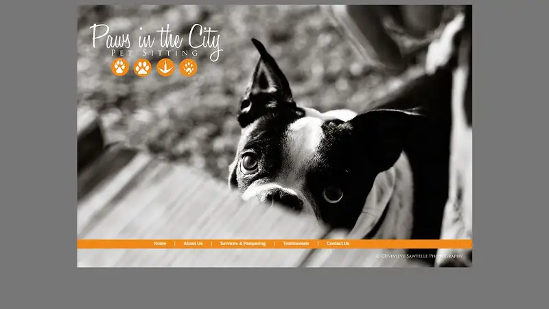 Paws in the City preview