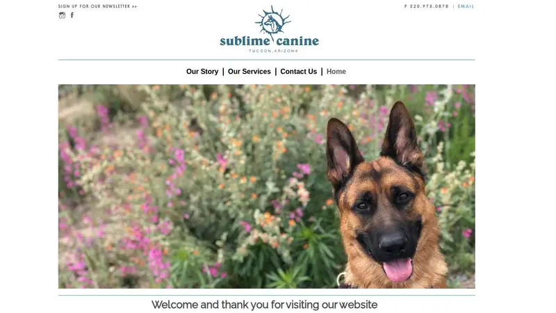 Sublime Canine preview