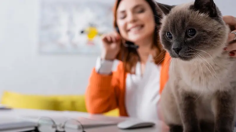 Crestview Veterinary Clinic preview