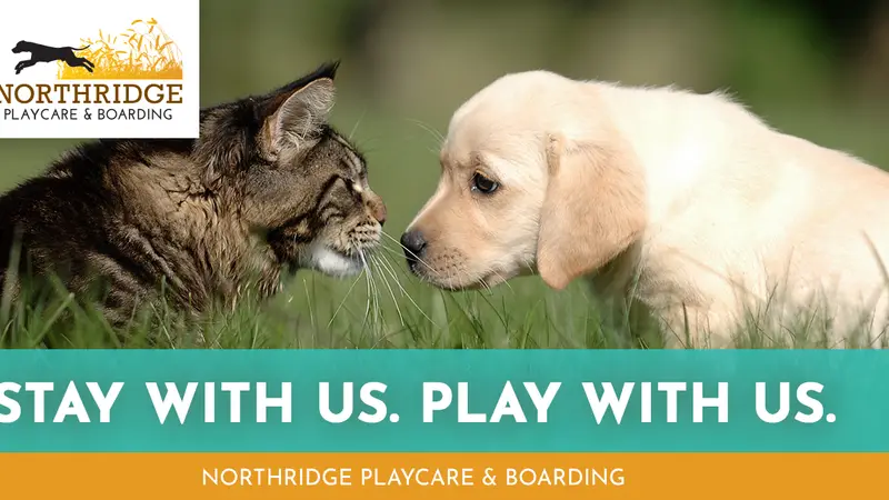 Northridge Playcare & Boarding preview