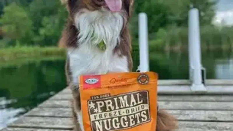 Luke & company preview