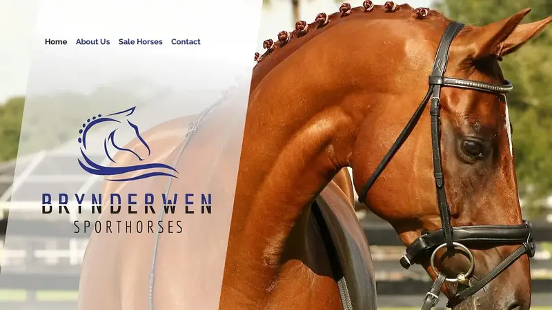 Brynderwen Sport Horses preview